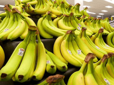 바나나 보관법
